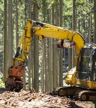 木漏れ日が差し込む緑豊かな森の中の小道