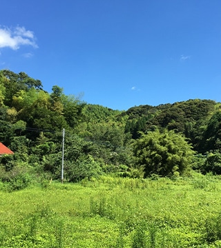 青空の下、鮮やかな緑の草地と木々に覆われた山々が広がるのどかな自然風景